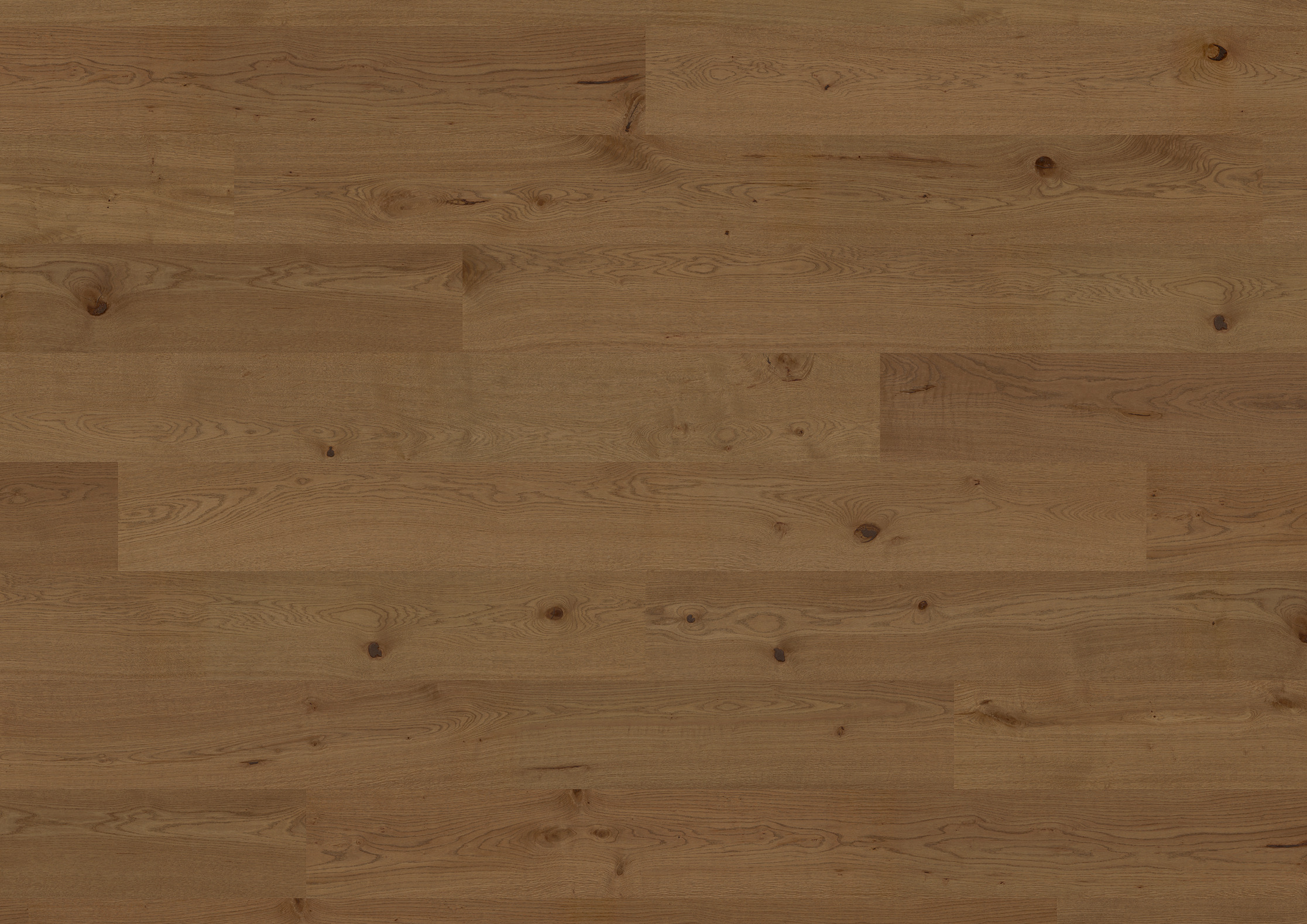 Design-Fertigparkett ter Hürne Hywood OLIO Oak Riding Mountain, 11 mm mehrschichtig, Nature Protec-Oberfläche, fußbodenheizungsgeeignet