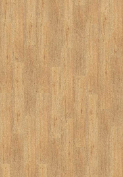 KWG Trend Comfort Designvinyl Art. 521007 Herbsteiche 5 mm