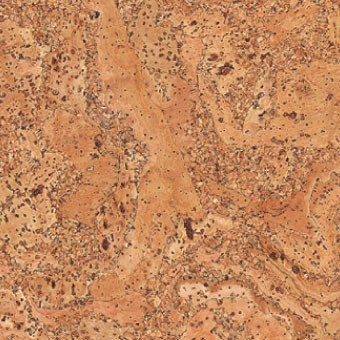 Ziro Kork Plus Korkboden Art. 020780407 Salsa Hartwachs-Öl furniert 12 mm