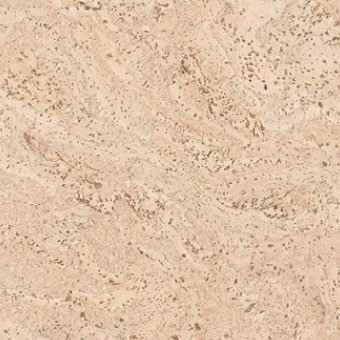 Ziro Kork Plus Korkboden Art. 020780409 Salsa creme Hartwachs-Öl furniert 12 mm