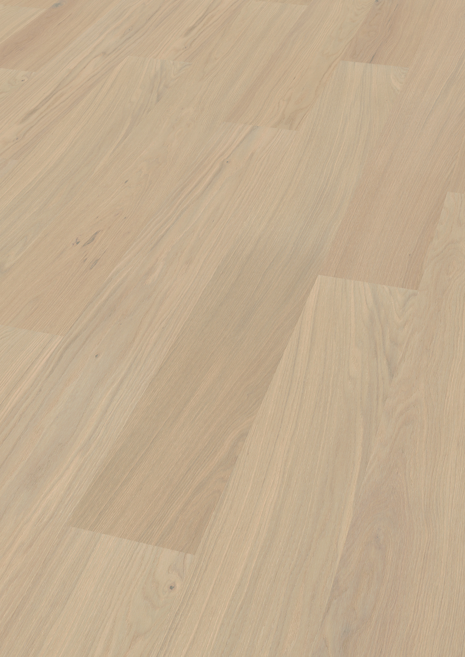 Landhausdiele Design-Hywood von ter Hürne – Eiche Outer Banks in warmem Natur-Ton, 11 mm stark, extramatt, feuchtraum- & fußbodenheizungsgeeignet
