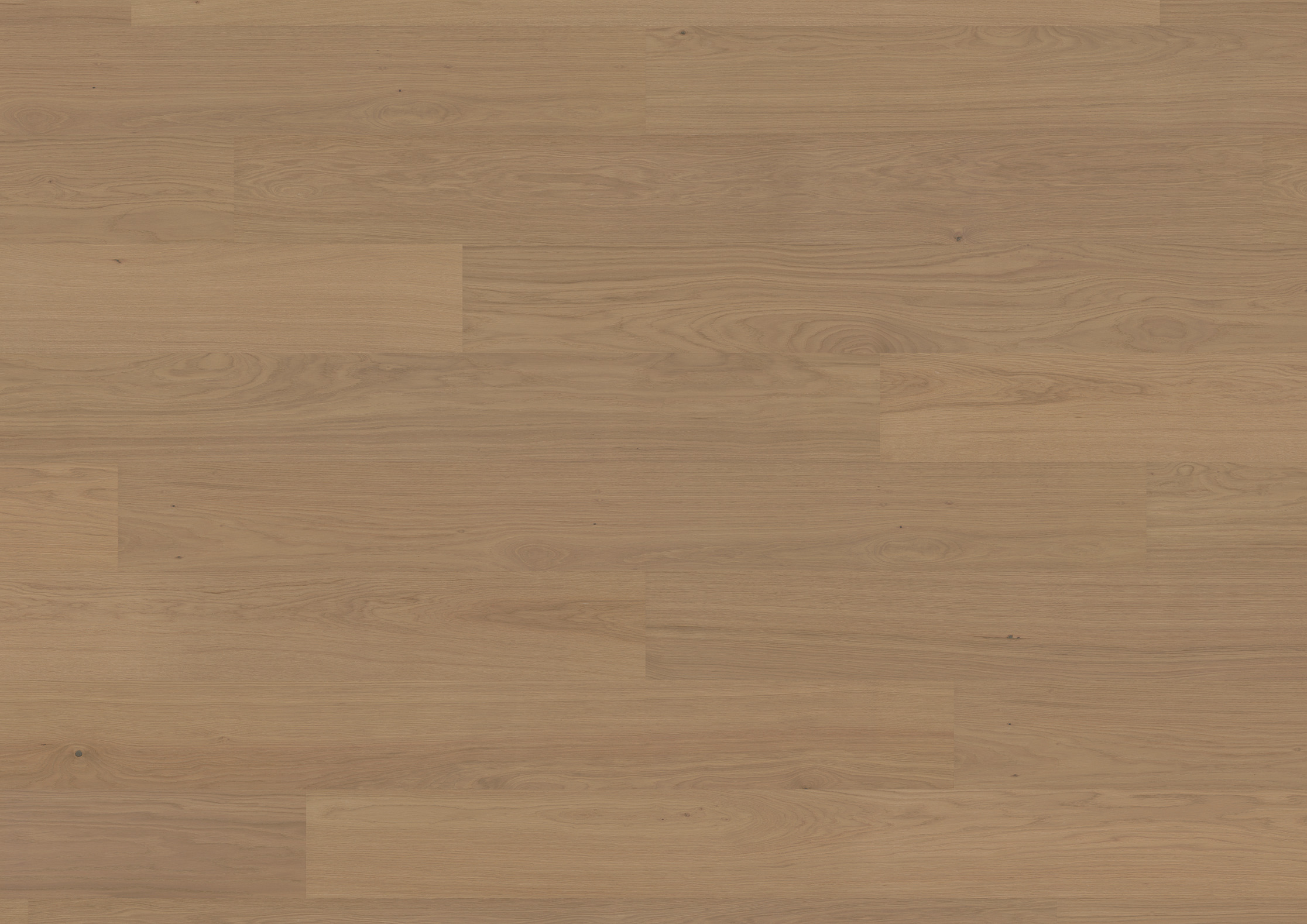 ter Hürne Hywood Landhausdiele Eiche Thousand Islands gebürstet (warmbraune Holzoptik), 11 mm Klickboard, feuchtraum- & fußbodenheizungsgeeignet
