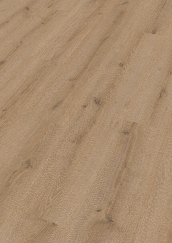 Meister Laminat LC 150 Art. 600014-1288198-07120 Turmeiche creme 8 mm
