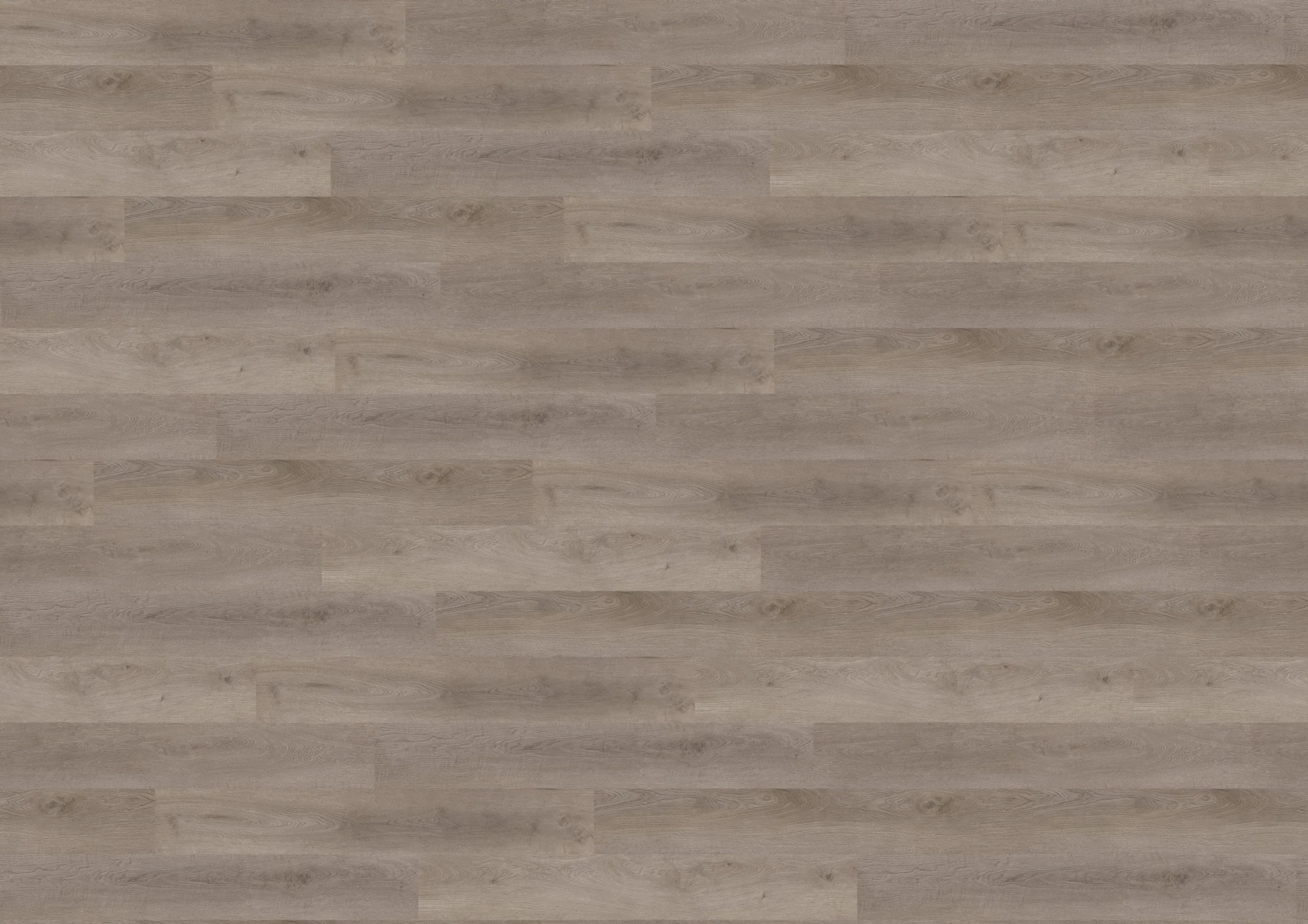 Wineo 400 wood L Designvinyl Art. DB287WL Balanced Oak Grey 2 mm
