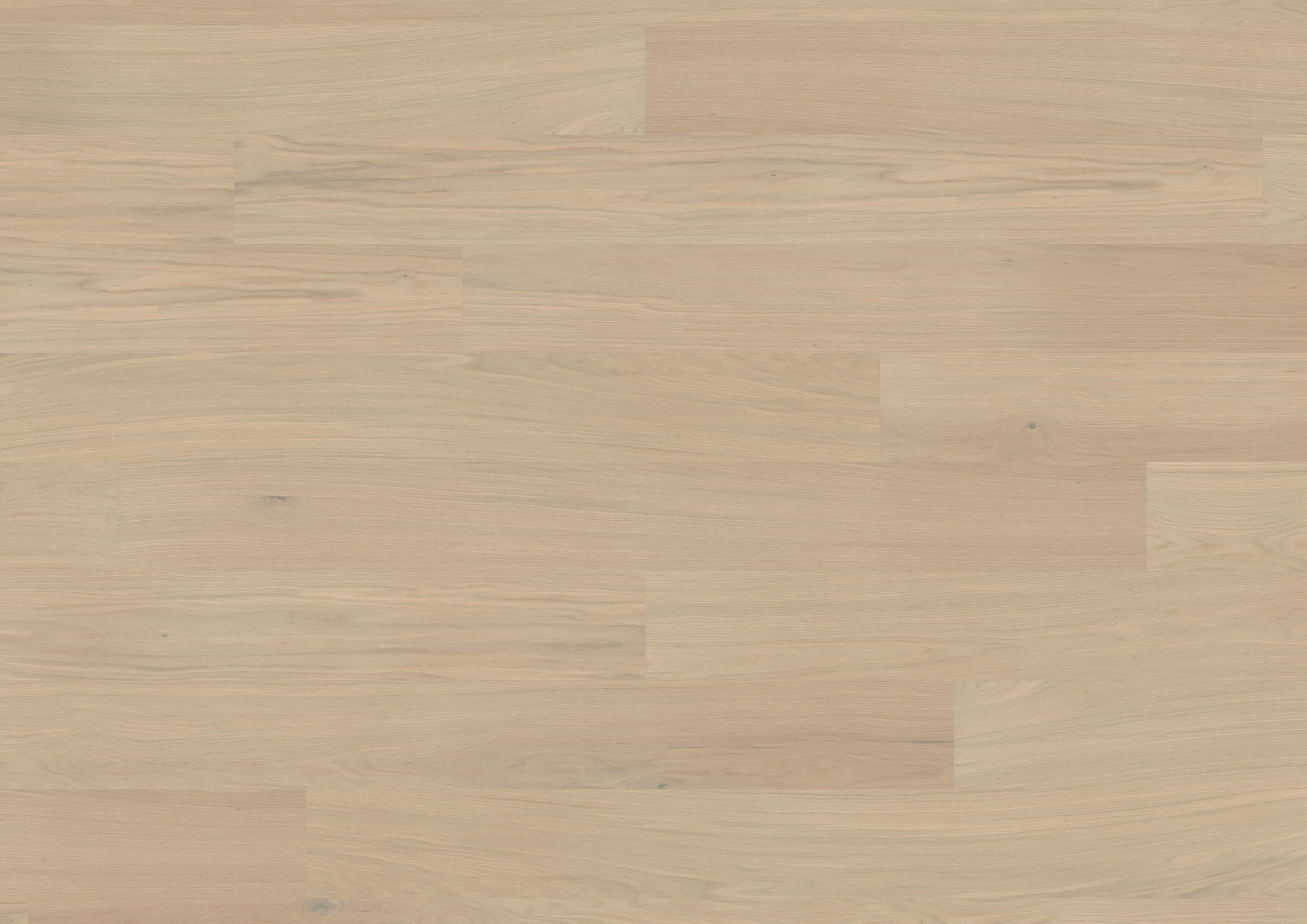 Landhausdiele Design-Hywood von ter Hürne – Eiche Outer Banks in warmem Natur-Ton, 11 mm stark, extramatt, feuchtraum- & fußbodenheizungsgeeignet