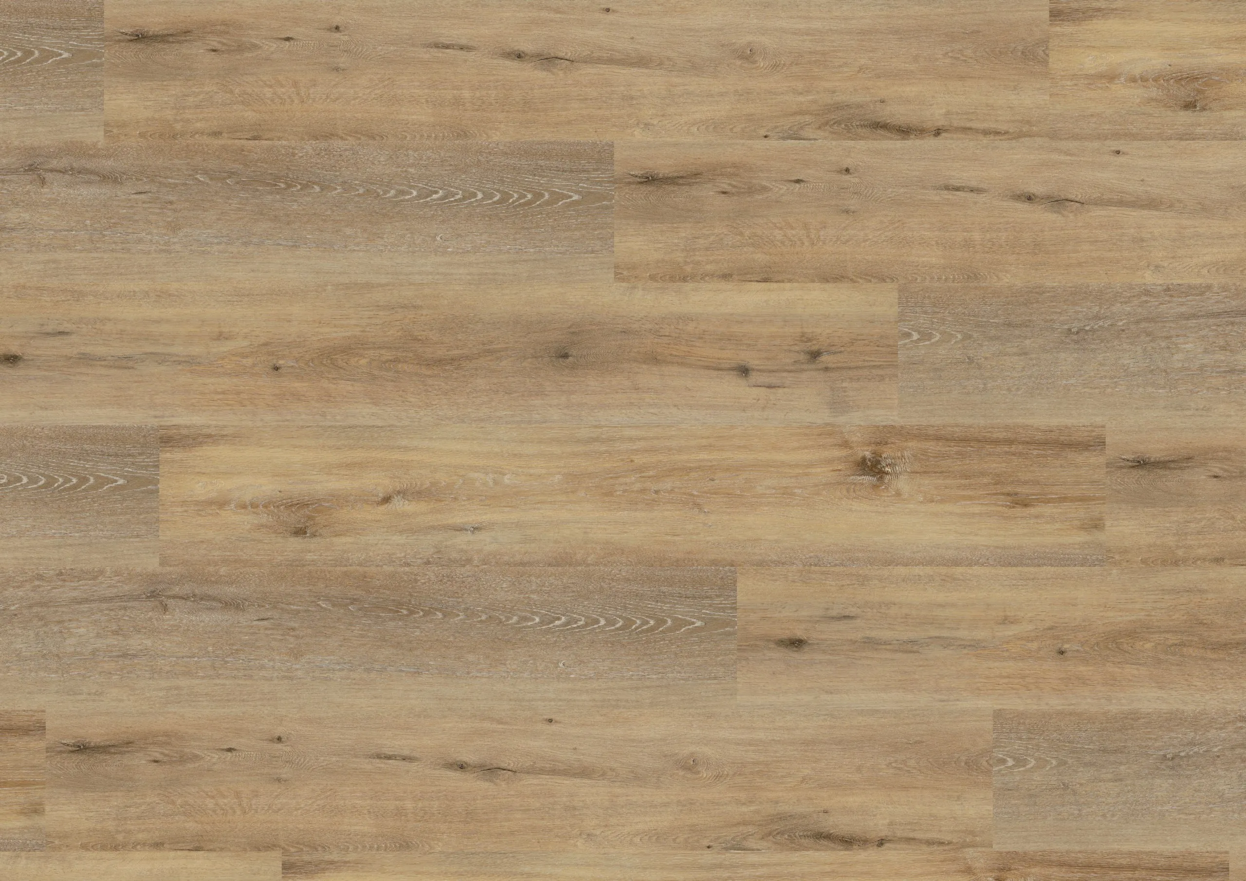 Wineo 400 wood XL Designvinyl Art. DB126WXL Joy Oak Tender 2 mm