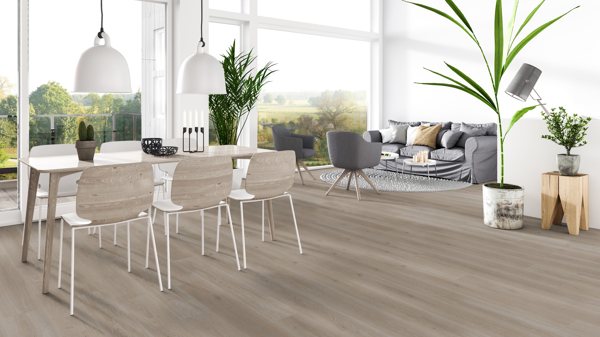 Klick-Vinylboden Tarkett Essence Rigid 55 im Dekor Tribe Oak-Grey (warme grau-holz Optik), 5 mm Gesamtstärke mit 0,55 mm Nutzschicht, fußbodenheizungs- und feuchtraumgeeignet