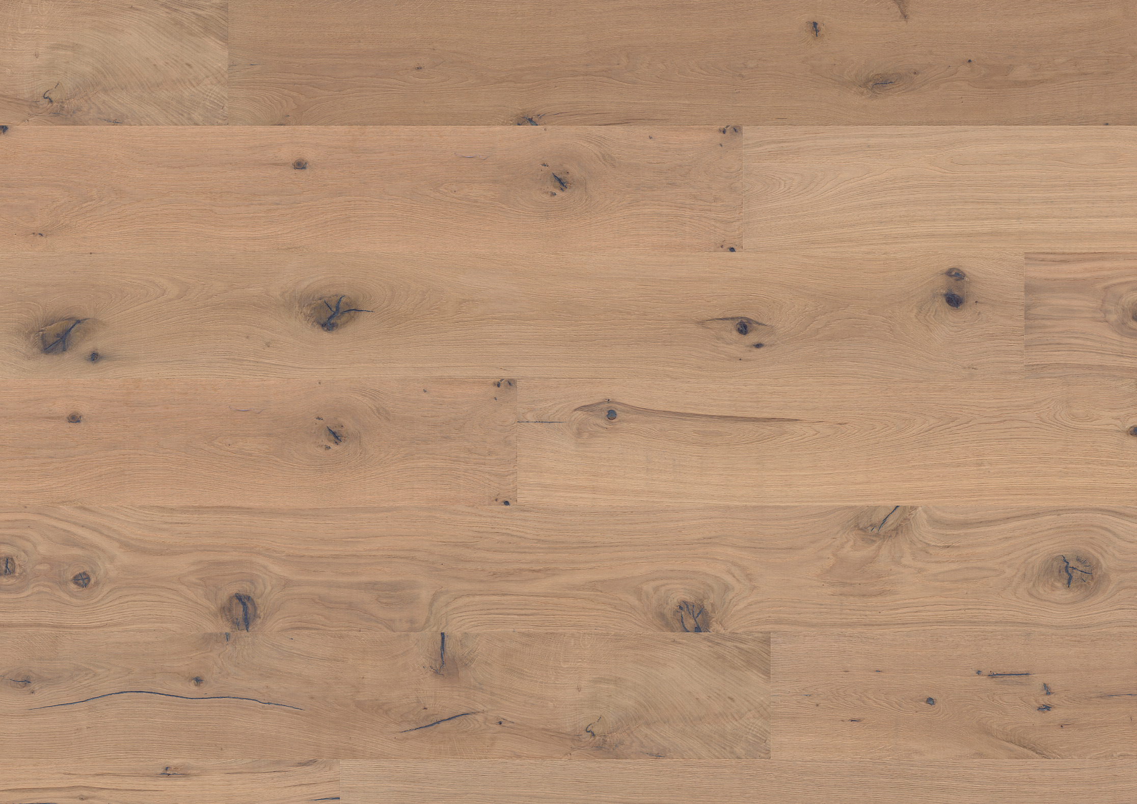 Landhausdiele Parkett Bennett & Jones Oak No. 6 Stirling, sägerau-gebürstet weißgeölt, 14 mm, fußbodenheizungsgeeignet