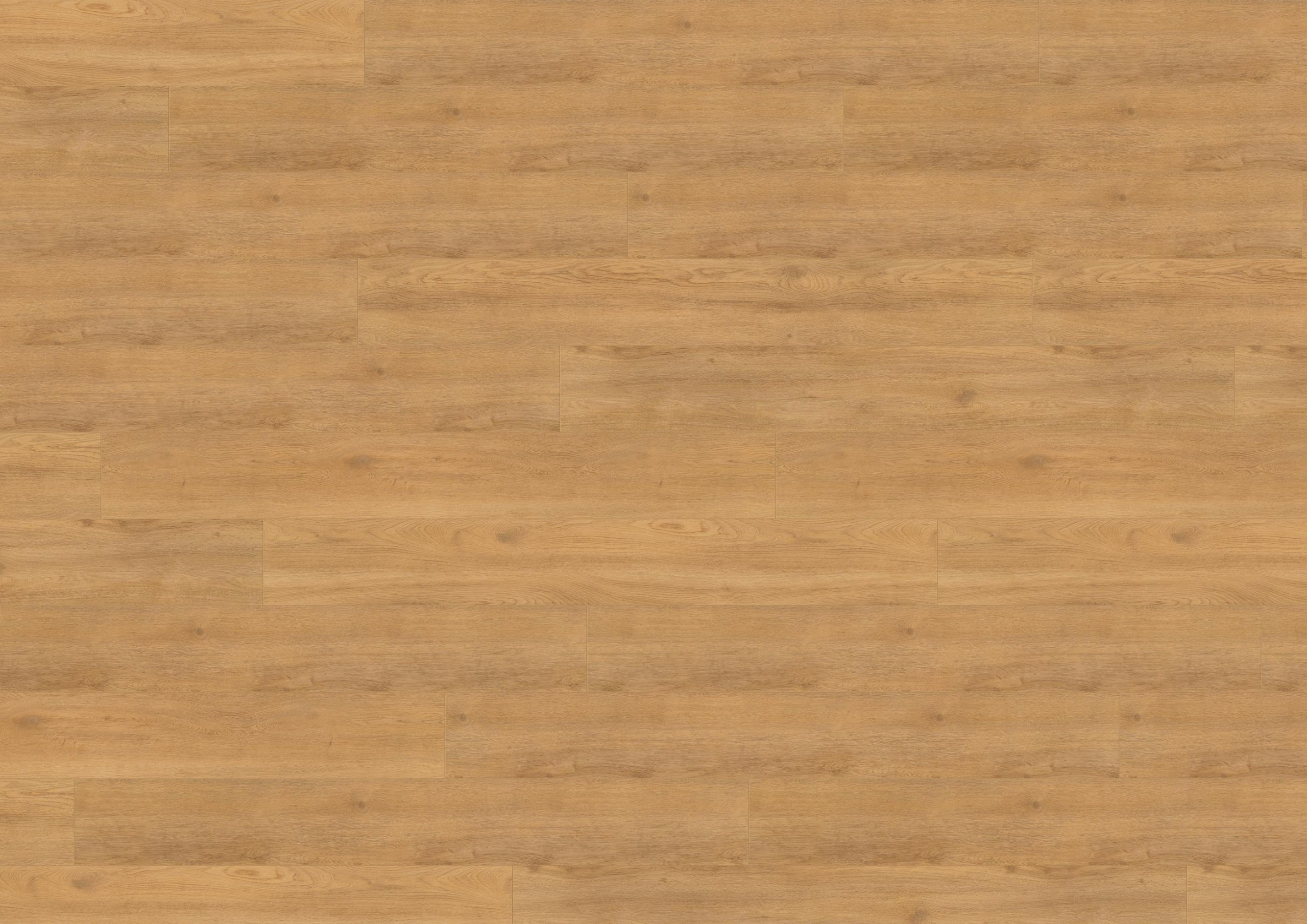 Wineo Pureline Bioboden 1200 wood XL Art. PL270R Let’s go Max 2,2 mm