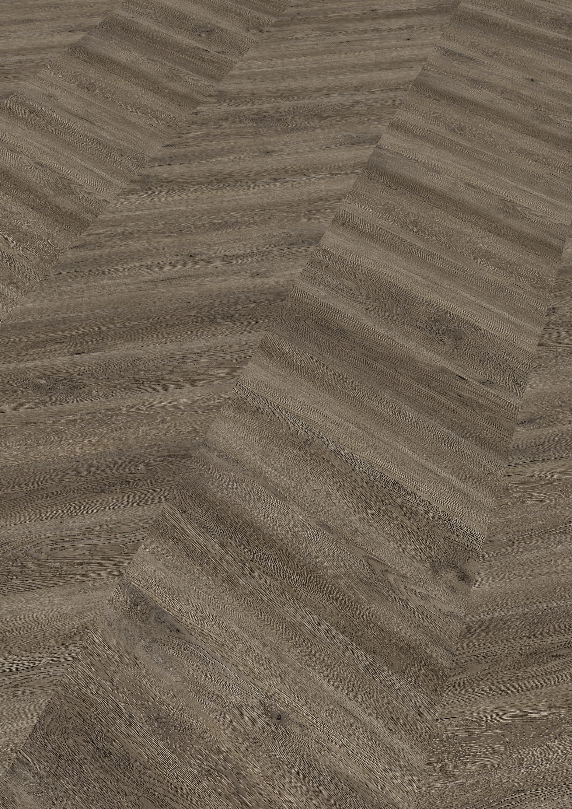 Design-Vinylboden ter Hürne Chevron Edition Eiche Canberra, 2,5 mm dick, extra-matt, feuchtraum- & fußbodenheizungsgeeignet