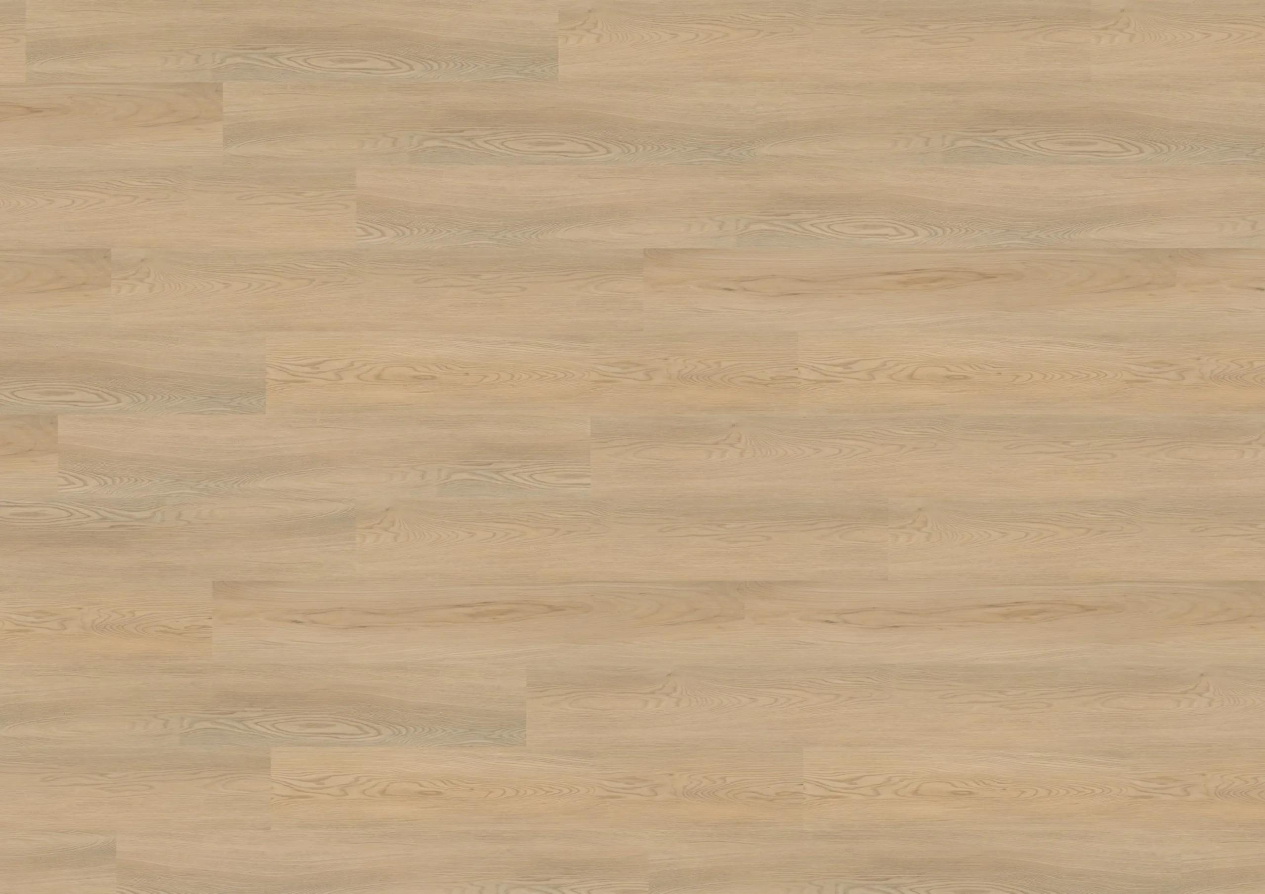 Wineo 400 wood XL Designvinyl Art. DB290WXL Calm Ash Beige 2 mm